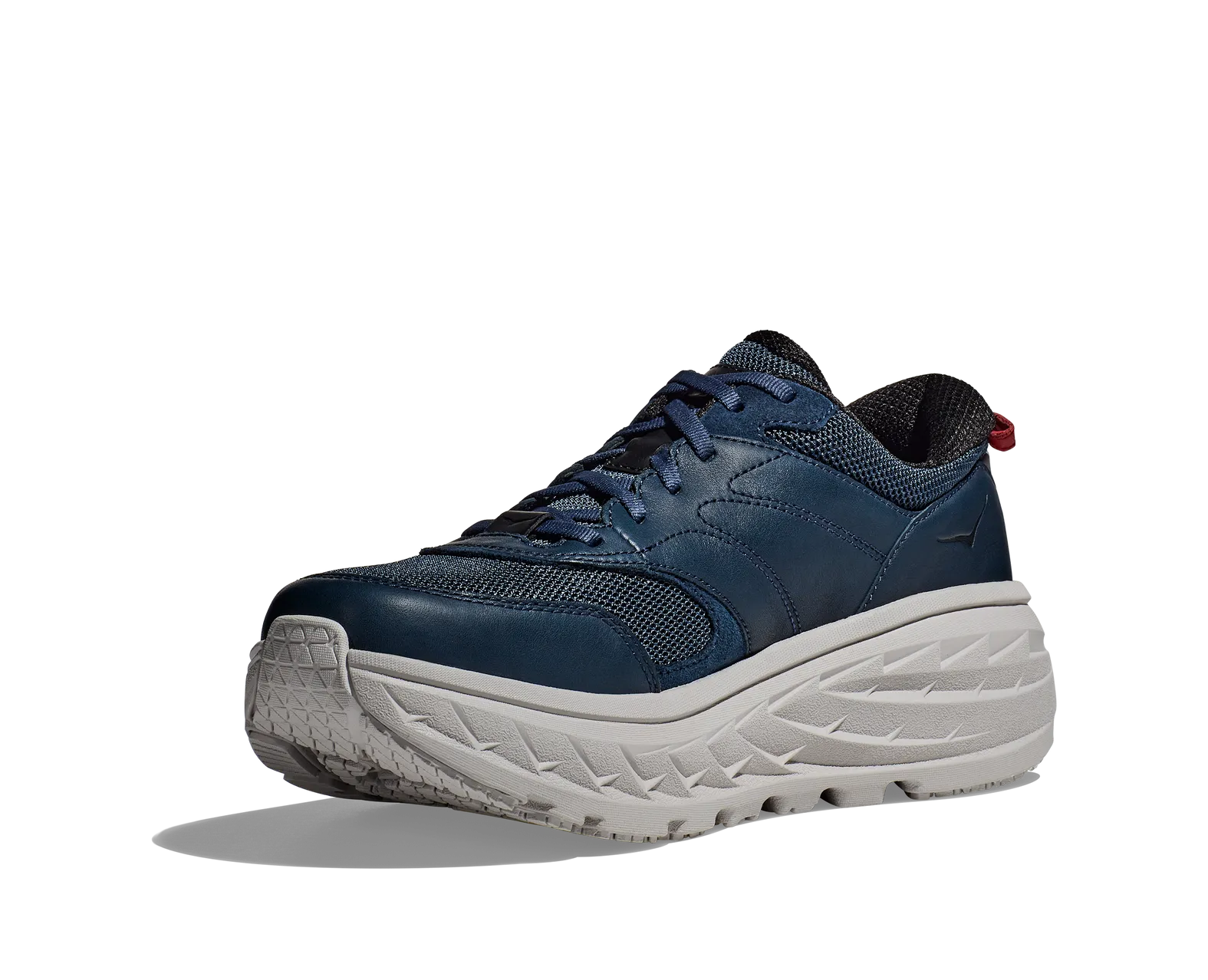 コニャック SHINYAKOZUKA [ LOOSE TURTLE ] MONO | ロイド・エフダブリュー